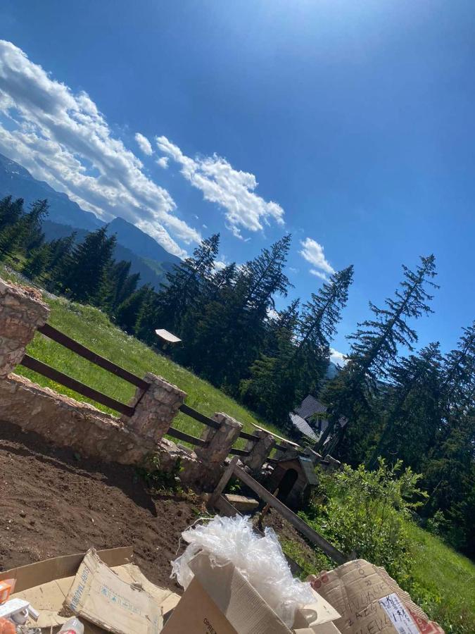 Sumska bajka Apartment Zabljak  Bagian luar foto